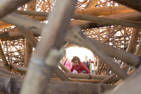 Family Day In Sydney With A Local: Private & Personalized - eAccommodation 7