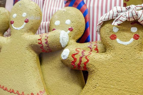 Family Day In Sydney With A Local: Private & Personalized - eAccommodation 10