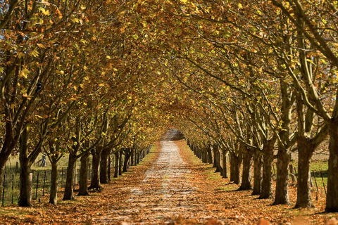 Private Southern Highlands Day Trip From Sydney Including Fitzroy Falls - eAccommodation 4