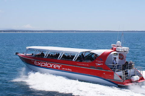 Whale Watching Jervis Bay - eAccommodation 1