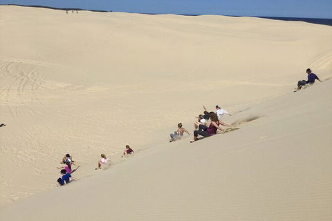 Port Stephens Bush, Beach And Sand Dune 4WD Passenger Tour - eAccommodation 2