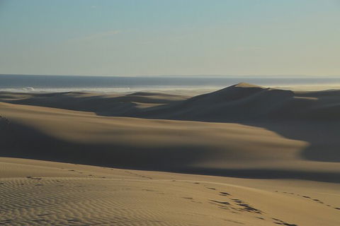Port Stephens Bush, Beach And Sand Dune 4WD Passenger Tour - eAccommodation 6