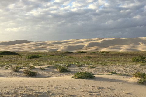 Port Stephens Bush, Beach And Sand Dune 4WD Passenger Tour - eAccommodation 3