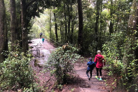 Private Guided Tour From Sydney To Blue Mountains National Park - eAccommodation 7