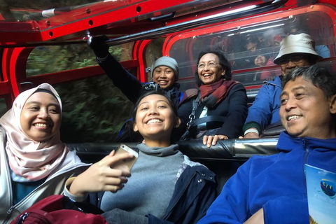 Private Guided Tour From Sydney To Blue Mountains National Park - eAccommodation 4