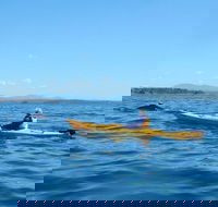 Whale Watching by Sea Kayak in Batemans Bay - eAccommodation