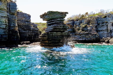 Jervis Bay Passage Tour - eAccommodation 15