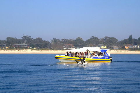 Jervis Bay Passage Tour - eAccommodation 16