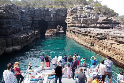 Jervis Bay Passage Tour - eAccommodation 3