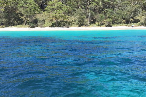 Jervis Bay Passage Tour - eAccommodation 5
