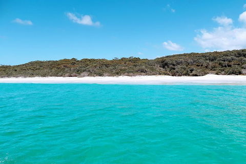 Jervis Bay Passage Tour - eAccommodation 10