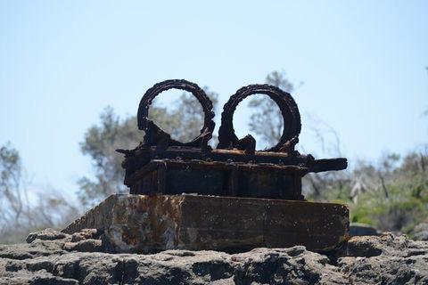 Jervis Bay Passage Tour - eAccommodation 4