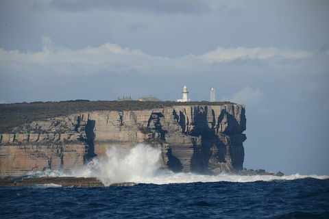 Jervis Bay Passage Tour - eAccommodation 8