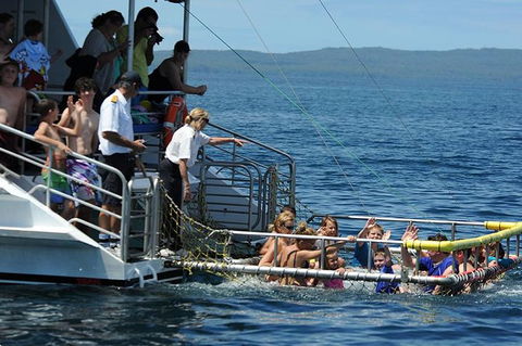 Jervis Bay Boom Netting And Dolphins Tour - eAccommodation 1