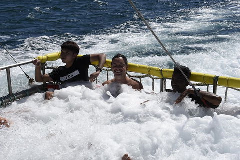 Jervis Bay Boom Netting And Dolphins Tour - eAccommodation 9