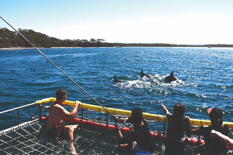 Jervis Bay Boom Netting And Dolphins Tour - eAccommodation 2