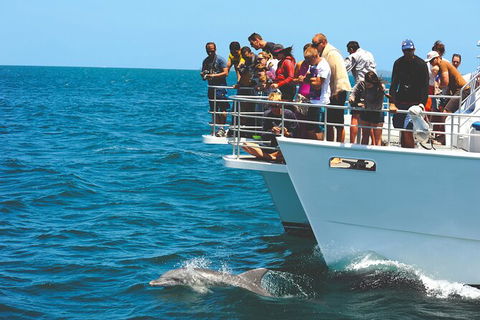 Jervis Bay Boom Netting And Dolphins Tour - eAccommodation 10