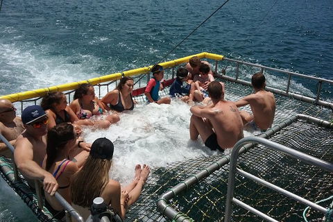 Jervis Bay Boom Netting And Dolphins Tour - eAccommodation 4