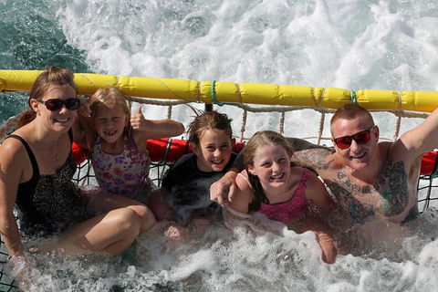 Jervis Bay Boom Netting And Dolphins Tour - eAccommodation 11