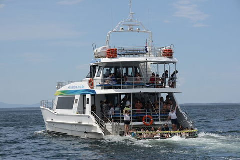 Jervis Bay Boom Netting And Dolphins Tour - eAccommodation 12