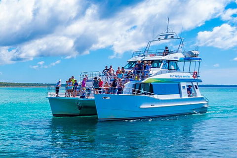Jervis Bay Boom Netting And Dolphins Tour - eAccommodation 3