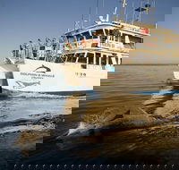 Jervis Bay Dolphin Watch Cruise - eAccommodation