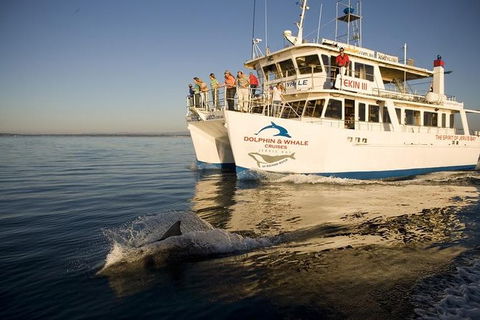 Jervis Bay Dolphin Watch Cruise - eAccommodation 0