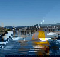 Batemans Bay Oyster Tasting Kayak Tour - eAccommodation