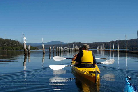 Batemans Bay Oyster Tasting Kayak Tour - eAccommodation 0