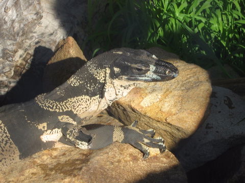 Armadale Reptile Centre - eAccommodation 0