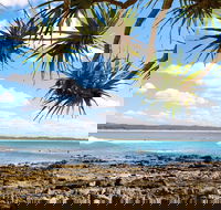 Arrawarra-Corindi Beach - eAccommodation
