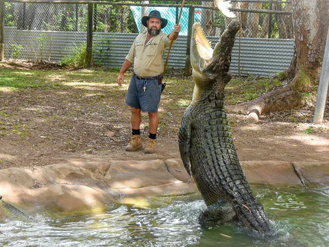 Billabong Sanctuary - eAccommodation 1