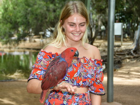 Billabong Sanctuary - eAccommodation 2