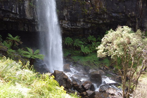 Bindaree Falls - eAccommodation 1