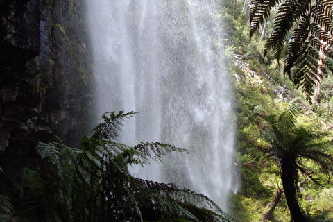Bindaree Falls - eAccommodation 2