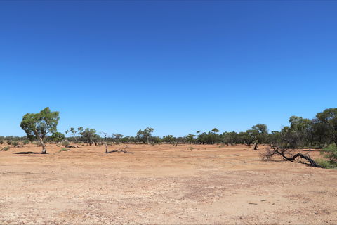 Bladensburg National Park - eAccommodation 1