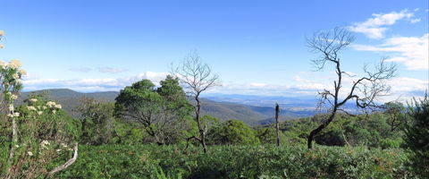 Blue Range Camping And Picnic Area - eAccommodation 0