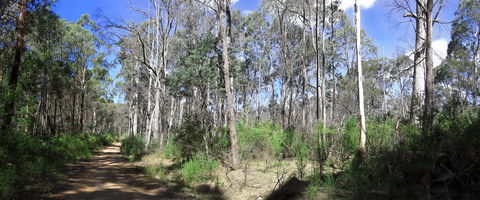 Blue Range Camping And Picnic Area - eAccommodation 1