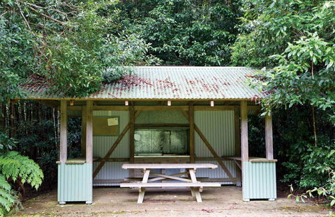Coachwood Picnic Area - eAccommodation 0