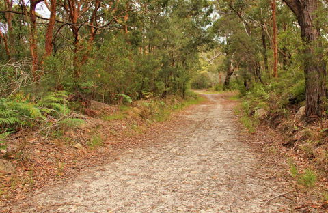 Daleys Point Walking Track - eAccommodation 0
