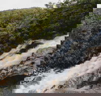 Davies Creek National Park and Dinden National Park - eAccommodation