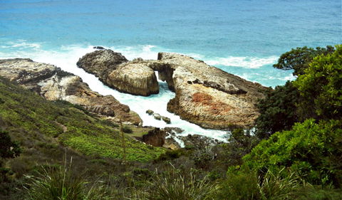 Diamond Head Loop Walk - eAccommodation 0