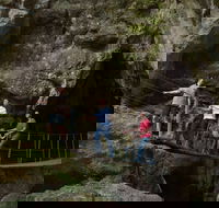 Dig the Tropic - eAccommodation