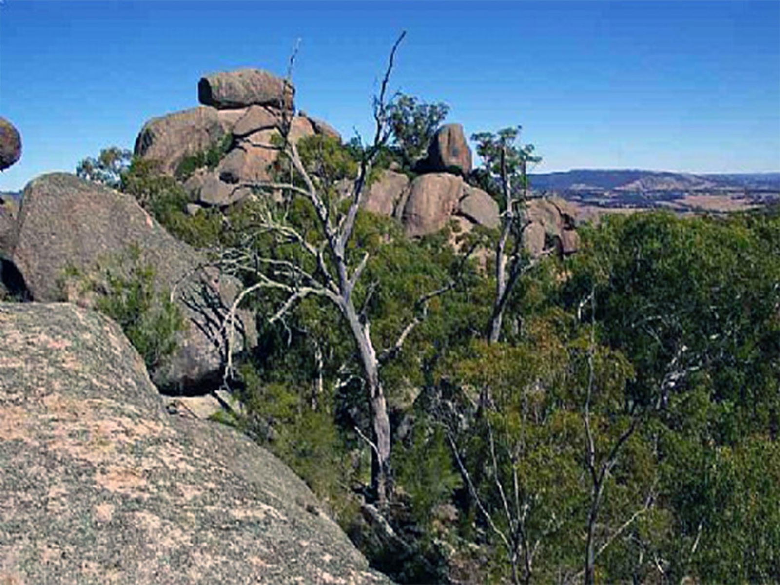 Tarana NSW eAccommodation
