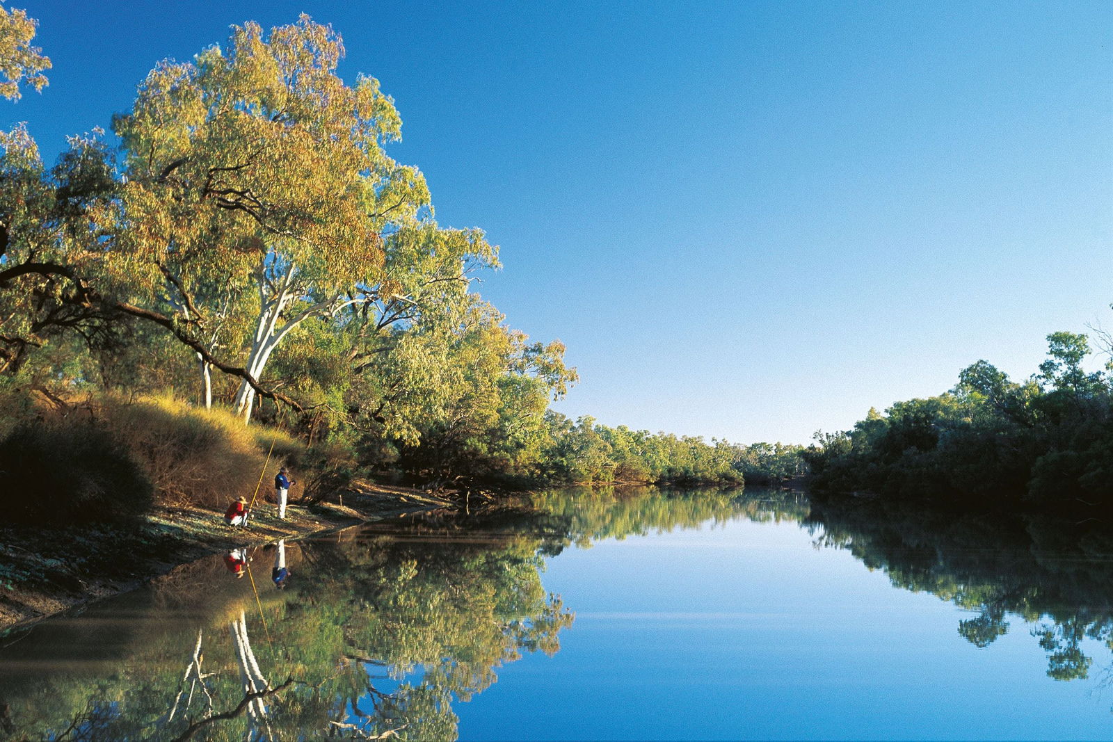 Mount Enniskillen QLD eAccommodation
