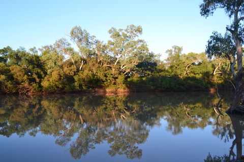 Five Mile - eAccommodation 2