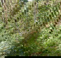 Gap Beach Walking Track - eAccommodation