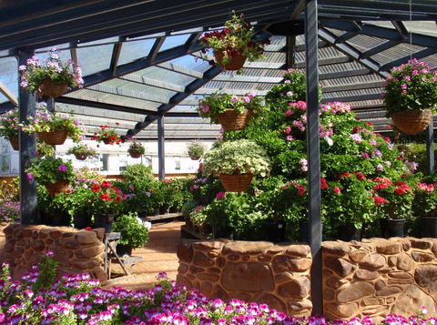 Geelong Botanic Gardens - eAccommodation 1