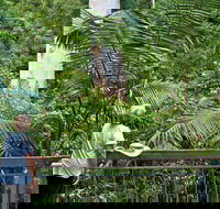 Grandis Picnic Area - eAccommodation