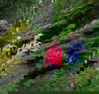 Grand Strzelecki Track - eAccommodation